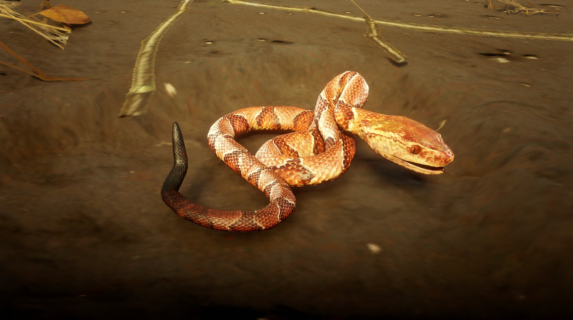 Southern Copperhead Snake RED DEAD REDEMPTION 2 情報&攻略 wiki RDR2